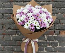 Букет цветов из:  Хризантемы #REPLACE_PRED# Бороздиновской