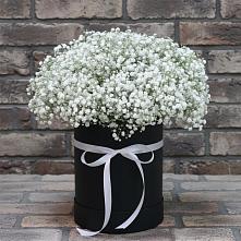 Цветочная композиция из Гипсофила в шляпной коробке в Бороздиновской